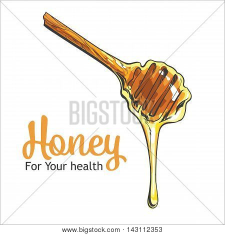 Wooden honey dipper, sketch style vector illustration isolated on white background. Transparent liquid golden colored honey dripping from a wooden honey dipper
