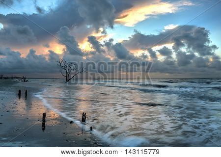 Oak tree submersed in water at sunrise with storm clouds in the boneyard beach of Edisto Island, South Carolina