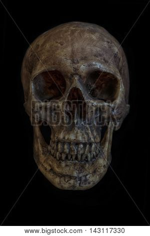 Human skull isolated on black background front view close up still life style