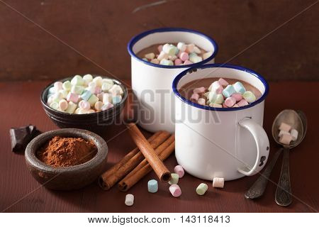 hot chocolate with mini marshmallows cinnamon winter drink