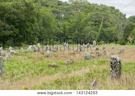 scenery around the Carnac stones a megalithic site in Brittany France