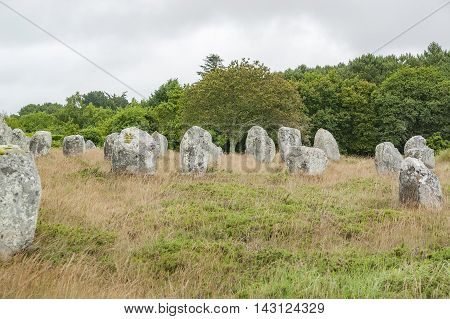 scenery around the Carnac stones a megalithic site in Brittany France