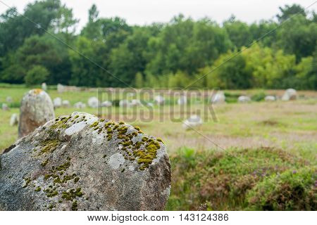 scenery around the Carnac stones a megalithic site in Brittany France