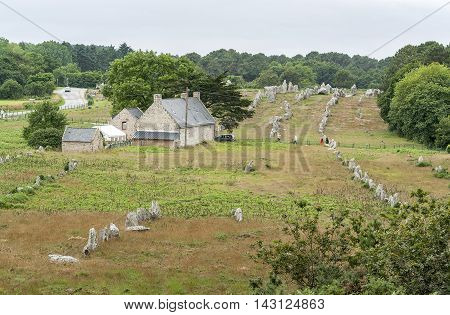 scenery around the Carnac stones a megalithic site in Brittany France