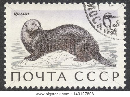 MOSCOW RUSSIA - CIRCA JUNE 2016: a post stamp printed in the USSR shows Monodon monoceros animal the series 