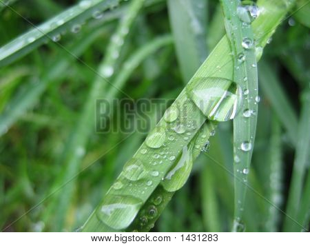 Goutte d ' Eau
