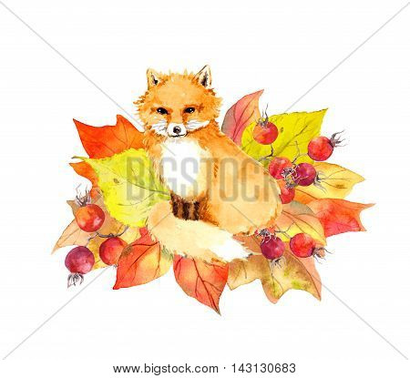 Cute fox in autumn leaves and berries. Watercolor label