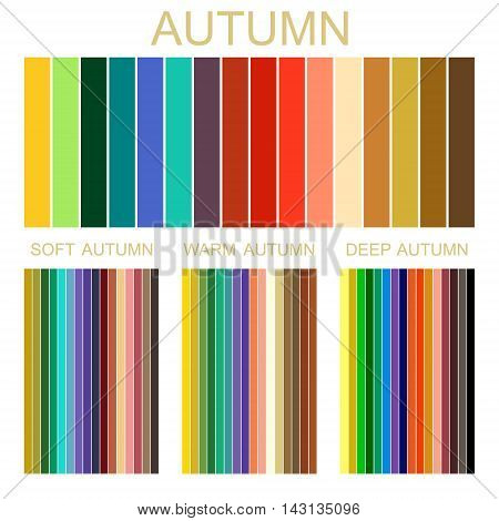 Stock vector seasonal color analysis palette for autumn type of female appearance. Set of palettes for soft, warm and deep autumn