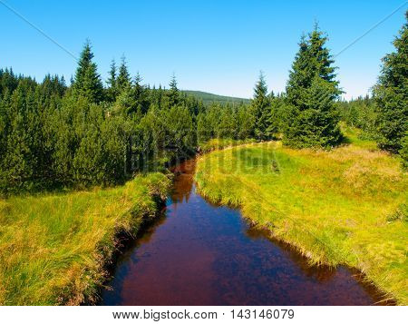 Small mountain creek in the middle of green meadows and spruce forest, Jizera Mountains, Czech Republic