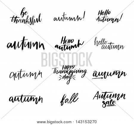 Hand drawn vector phrase. Autumn set with calligraphic text. Perfect for lettering poster postcard greeting card invitation quote etc.