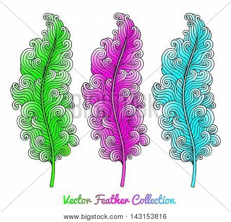 Set of bright curly feathers. Vector illustration isolated on white. EPS 10.