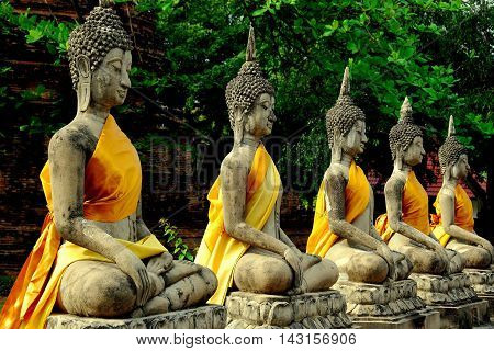 Ayutthaya Thailand - December 20,  2010: Row of Buddhas adorned with orange and yellow silk sashes in the cloister quarter at Wat Yai Chai Mongkon  *