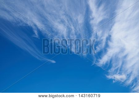 Summer day. The beautiful blue sky cirrus clouds. Background