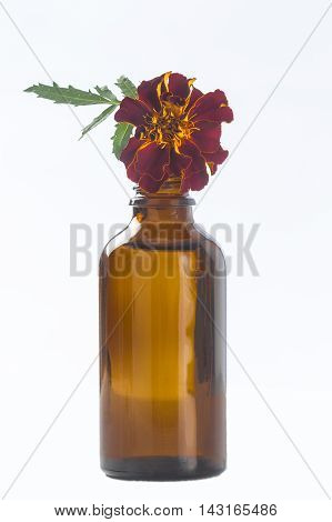 Small bottle of essential oil Tagetes flowers extract