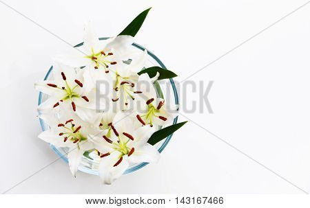 Flowers of white lilies in a round bowl.