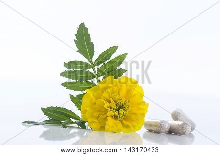 Herbal therapy marigold oil Tagetes flower capsule