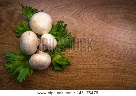 porcini mushrooms and green salad on the table