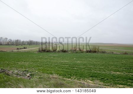 Landscape Almenar de Soria in Soria, Castilla leon, Spain