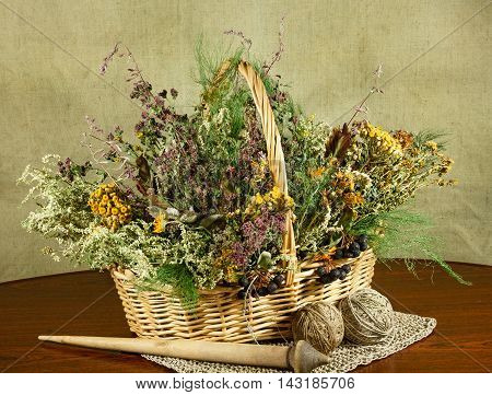 Basket with healing herbs. Dried plant for use in alternative medicine. Herbal medicine phytotherapy medicinal herbs. For preparation of infusions decoctions tinctures powders ointments tea.