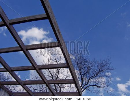 Arbor