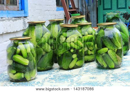 ripe cucumbers in the glass jars are prepared for preservation