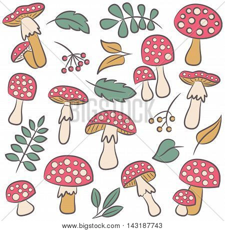 Cute amanita with leafs and berries vector color collection. Poisonus mushrooms and plants isolated on white.