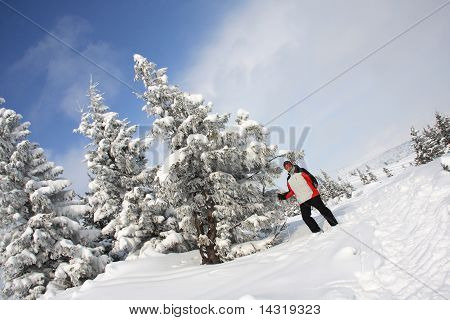 Porträt des Skifahrers