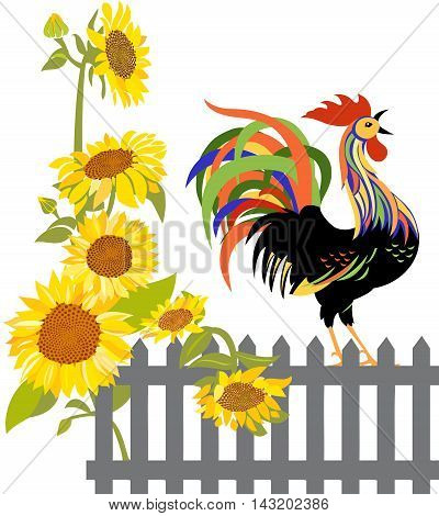 Colorful rooster perching on a fence with sunflowers