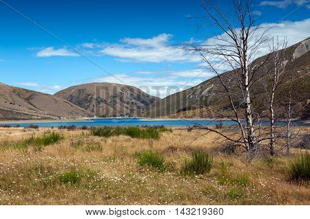 Lake Lyndon, On The Arthurs Pass, Southern Alps, South Island Of New Zealand