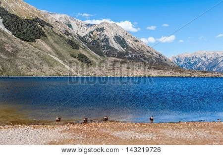 Lake Pearson / Moana Rua Wildlife Refuge Located In Craigieburn Forest Park In Canterbury Region, So