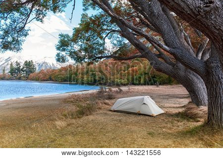 Campsite At Lake Pearson / Moana Rua Wildlife Refuge Located In Craigieburn Forest Park In Canterbur