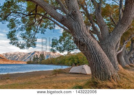 Campsite At Lake Pearson / Moana Rua Wildlife Refuge Located In Craigieburn Forest Park In Canterbur