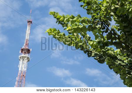 Broadcast transmitting antenna for radio and television signal on green tree and sky background.