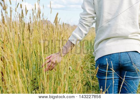 Russian Field Grasses
