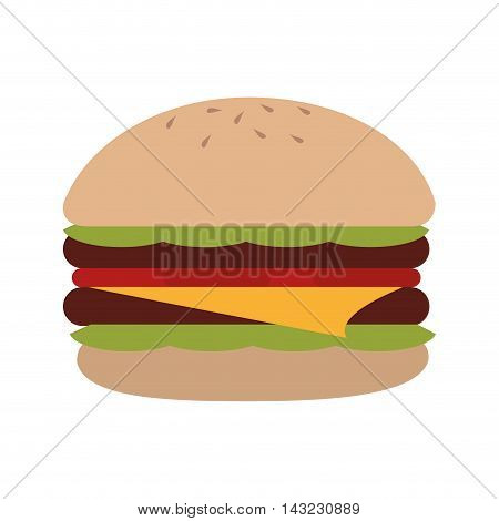 hamburguer fast food american burger deliveryfood tasty vector illustration