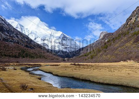 River and grass field in the snow mountains at Yading, China.