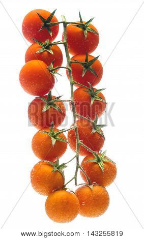 bunch tomato in water on white background