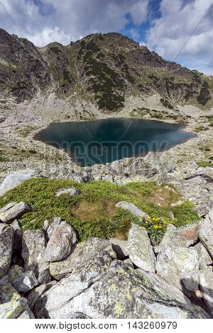 Panoramic view of Musalenski lakes and yellow flores, Rila mountain, Bulgaria