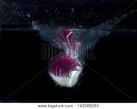 radicchio dipped in water with bubbles and drops