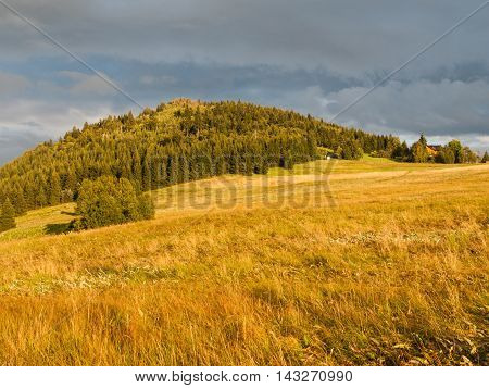 Green forested conical hill at sunset time in Jizera Mountains, Jizerka village and Bukovec Mountain, Czech Republic