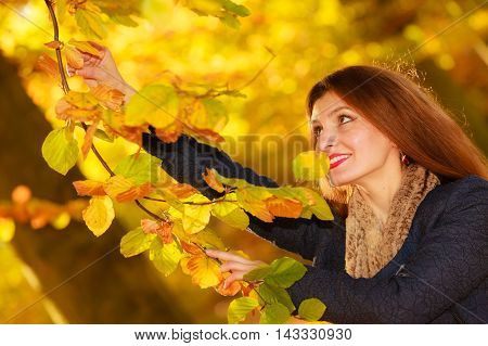 Girl Cheering In The Park