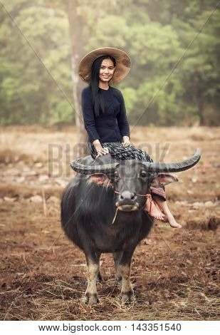 Asian woman (Thai) farmer with a buffalo in the field