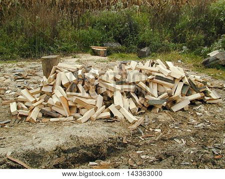 Pile of small logs lying on forest path