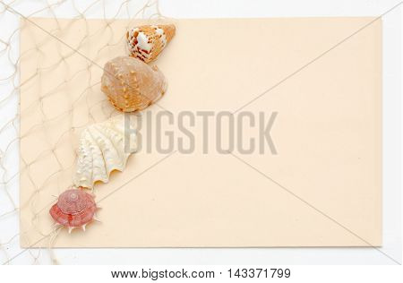 Sea Shell Stationery Concept With Netting And Light Peach Background - Greeting Card