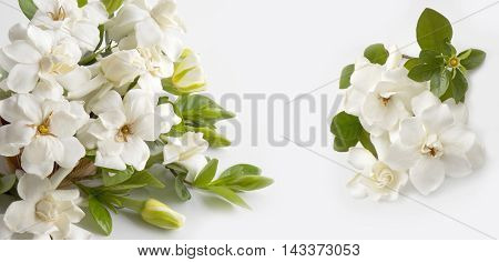 Beautiful white gardenia flower on white background