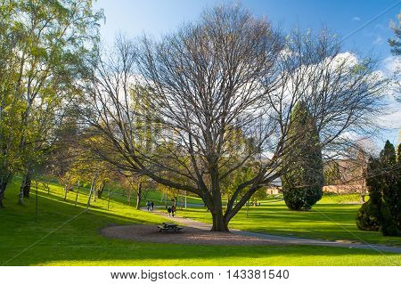 Royal Tasmania Botanical Gardens on a sunny spring day in Hobart, Tasmania, Australia