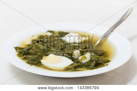 Plate With Spoon And Vegetarian Soup From Greens