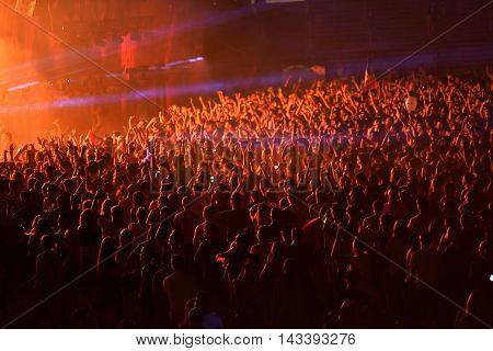 Crowd In A Stadium At A Concert