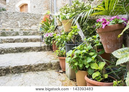 flowerpots street in the tourist island of Mallorca, Valdemosa city in Spain