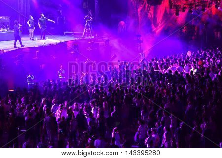 Crowd Of People Dancing At A Concert
